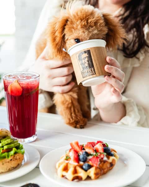 Coffee trips are always better with a furry best friend 🐶 Celebrate #nationaldogday with a FREE Pup Cup — and don’t forget to grab a little something for you too, of course! ♥️
__________
Sip, Save, Repeat: get rewarded for your spending 🤩 CF App Download link in bio📱 Now offering IN-APP DELIVERY 🚘
We offer free wifi 🛜 & free alternative milks🥛, serve on china ☕️, & use sustainable takeaway packaging 🌱
Open Mon-Fri 6-7 & Sat-Sun 7-7 in Katy and Bellaire📍Store locator & menu detail 🔗 in bio.