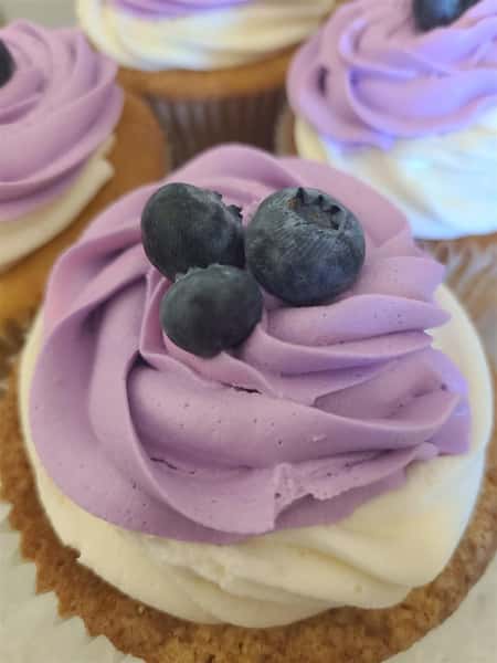 Cupcakes with white and purple frosting and topped with 4 blueberries