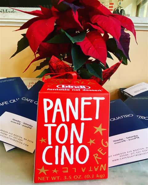 Bindi Panettoncino