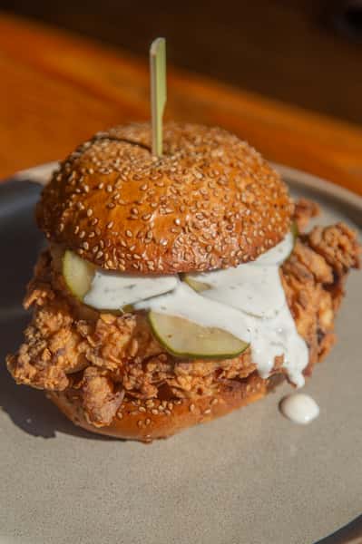chicken sandwich