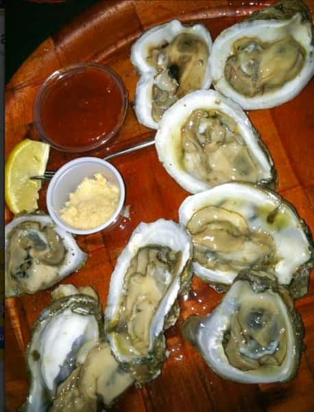 Oysters