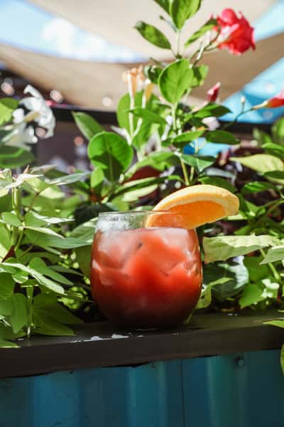 Colorful red cocktail with an orange garnish surrounded by greenery