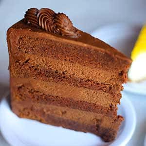 Chocolate Cake Slice