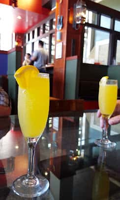 Mimosa