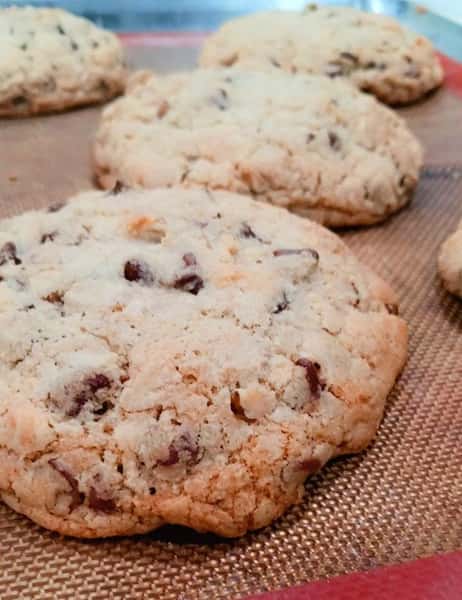 Chocolate Chip Cookie