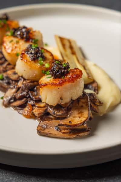 scallop