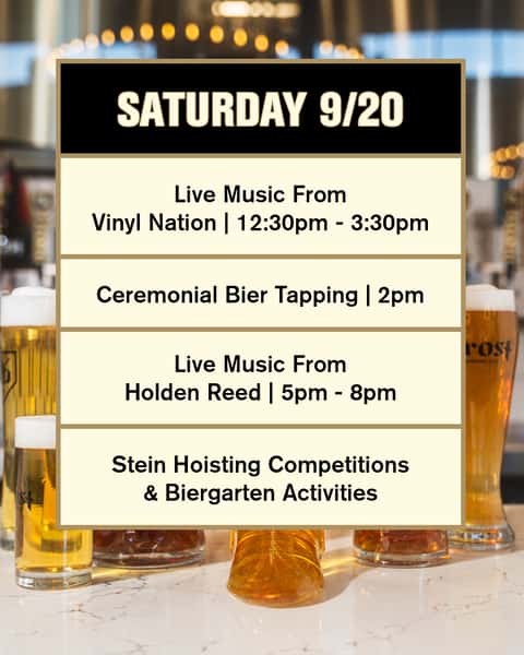 Saturday Description