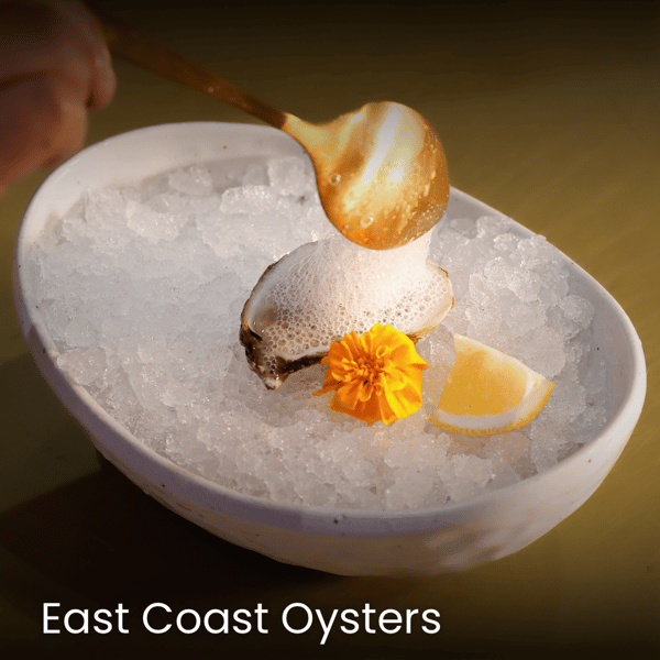 East Coast Oysters, Best sea food in Houston, Oyster in Westchase