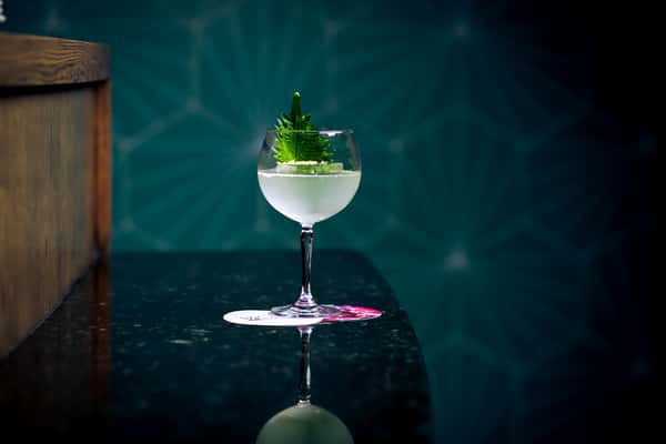 Pisco'nic