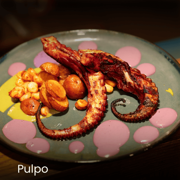 Grilled Pulpo in Houston