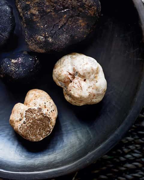 Truffle