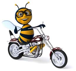 bee
