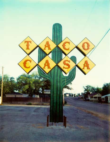 cactus icon