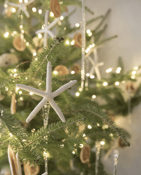Coastal Christmas