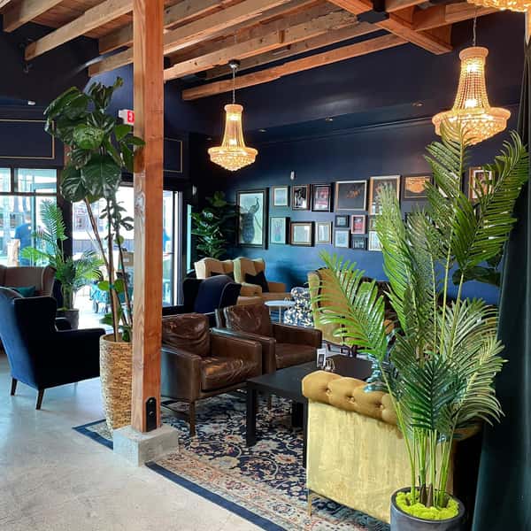interior with plants 