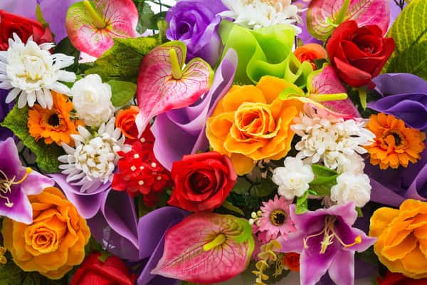 flowers