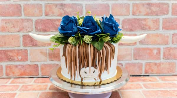 Highland cow cake with white icing, brown fondant "hair," a white snout, and blue floral decoration.
