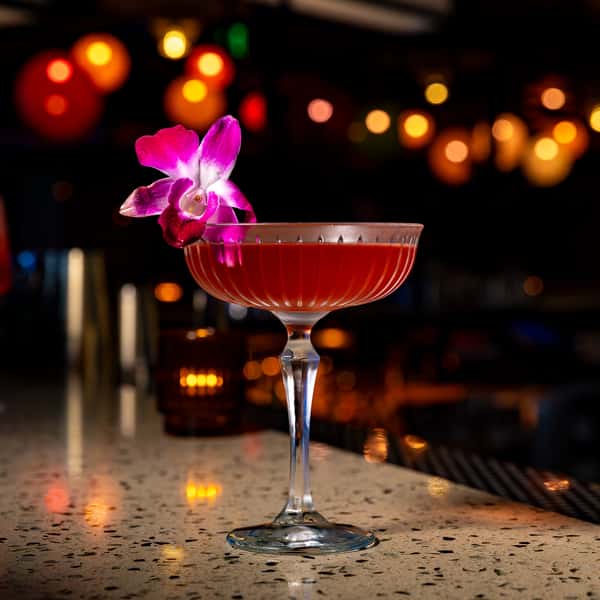 STUDIO SOUR