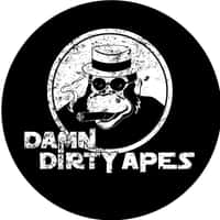 Damn Dirty Apes Band