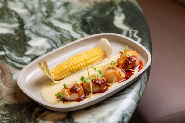Day Boat Scallops