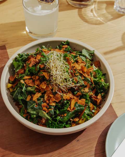Dinosaur Kale