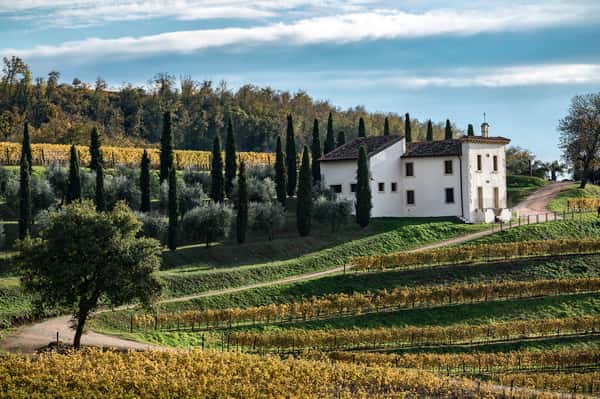 Bertani Wine Dinner