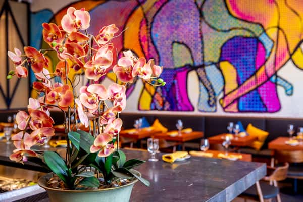 Pink orchid arrangement on a bar counter with a vibrant elephant mural and neatly set dining tables in a modern restaurant interior.