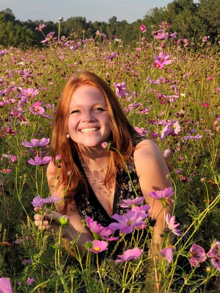 Wildflower Field 