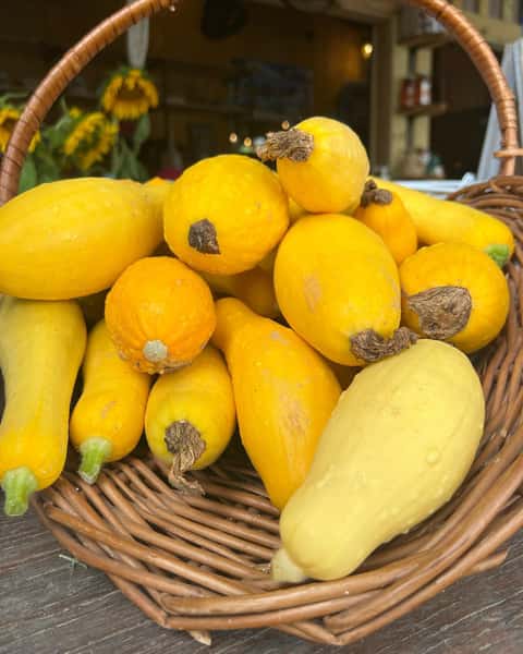 squash