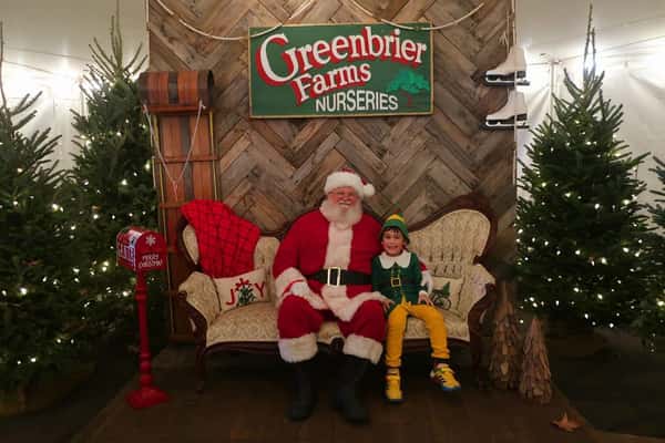 Christmas Tree Lot