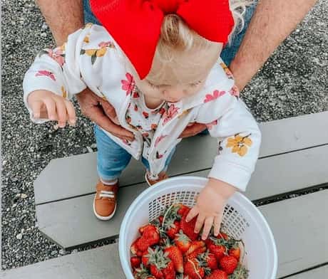 Strawberry picking