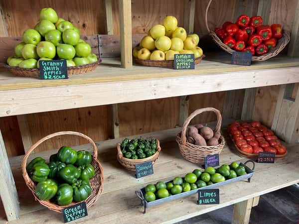 vegetables