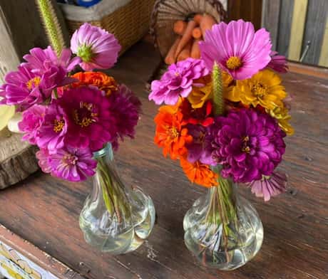 pick wildflowers
