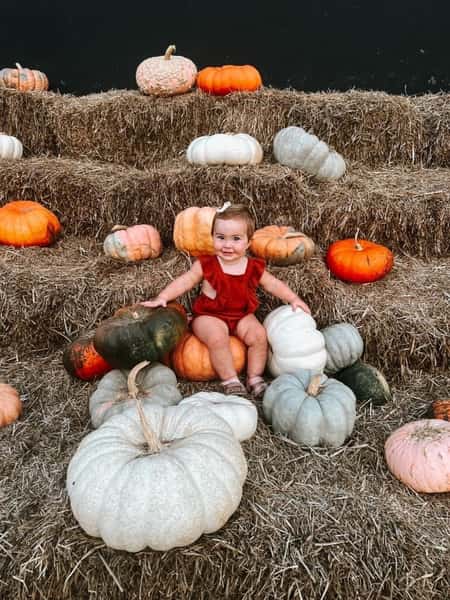 Fall Festival 