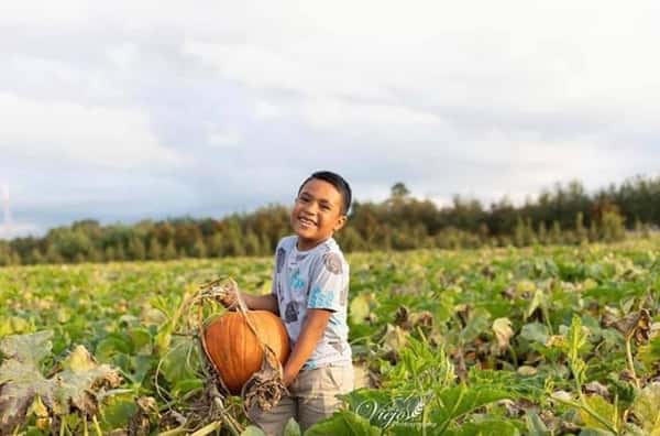 Pick Your Own Pumpkin 