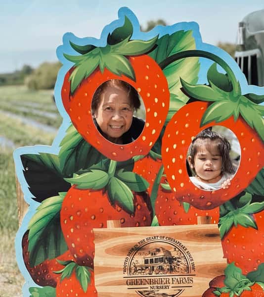 Strawberries