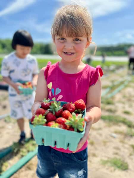 Strawberries
