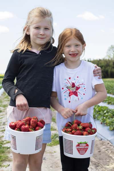 Strawberry Days