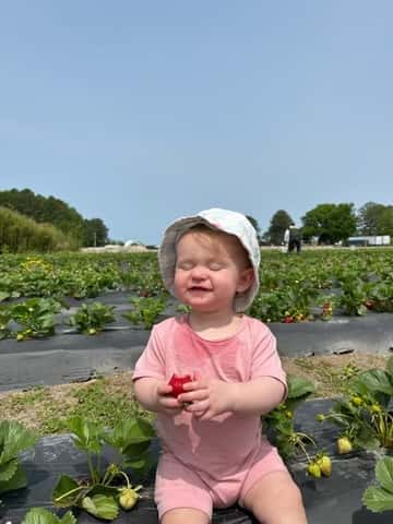 Strawberry Days