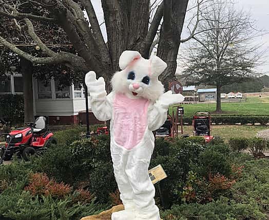easter bunny