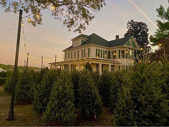 Chritmas event