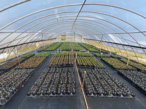 Nursery