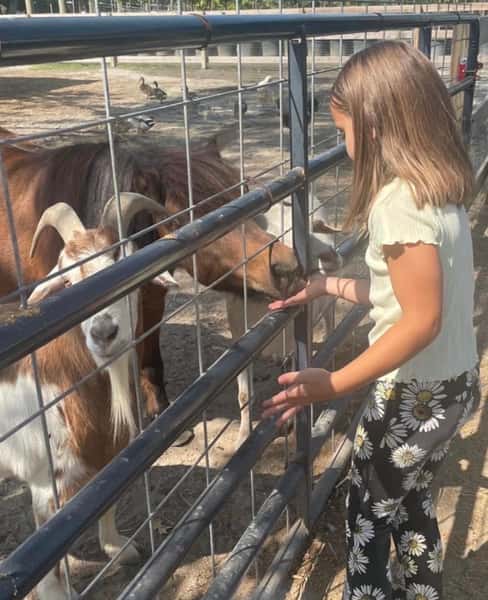 Barnyard Buddies