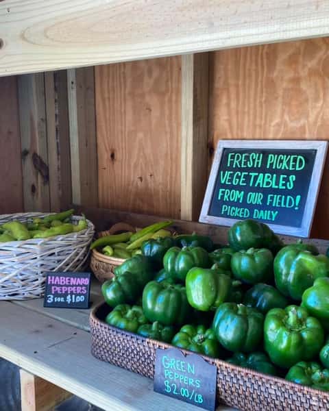 Fresh Produce