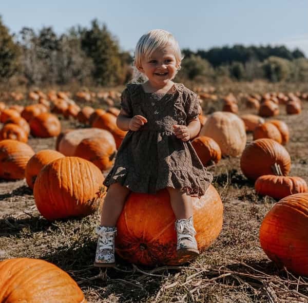 Fall Festival