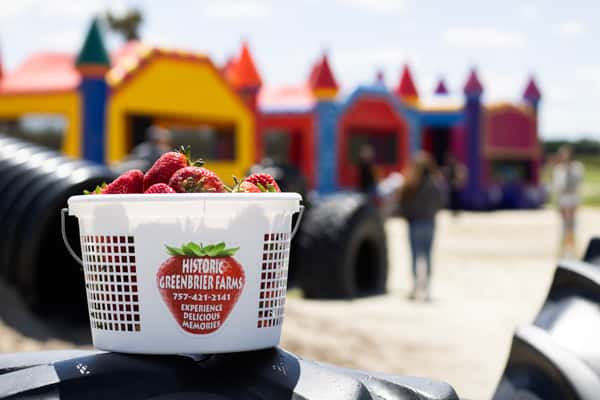 Strawberry Days