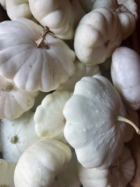 Vegetable