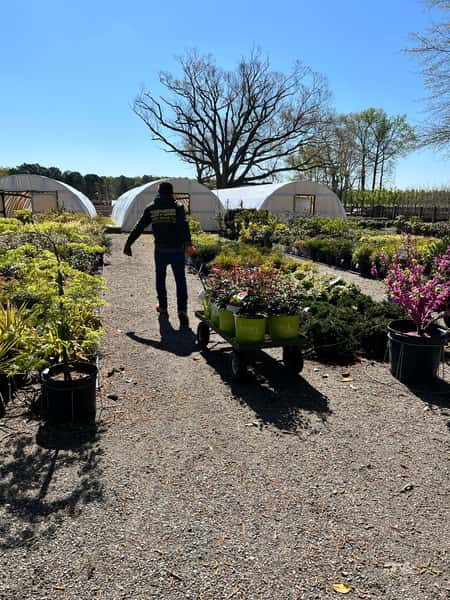 Greenbrier Farms Nursery