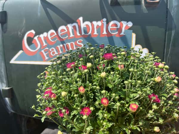 Greenbrier Farms Nursery