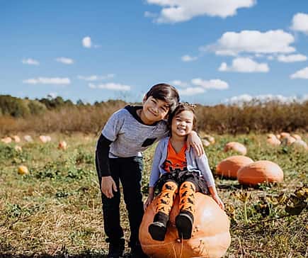 pumpkins
